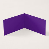 Drache im Schnee. (Innenseite)