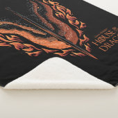 Drache in Flammen hinter dem Schwert Sherpadecke (3/4)