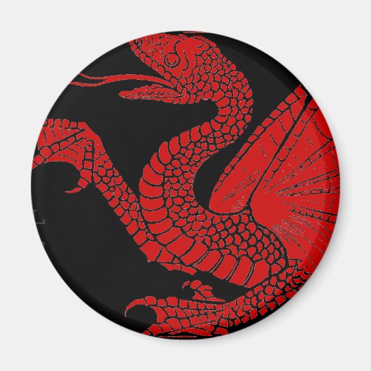 Drache-Magnet Magnet (Vorne)