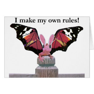 Drache mit den Häschenohren