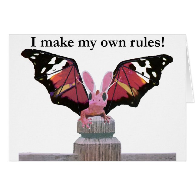 Drache mit den Häschenohren (Vorderseite (Horizontal))