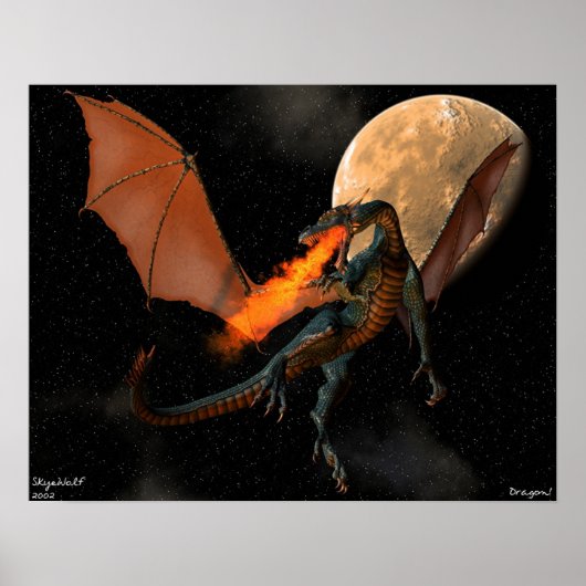 Drache! Poster (Vorne)