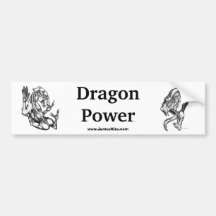 Drache-Power Autoaufkleber