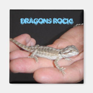 Drache rockt meine Welt Magnet