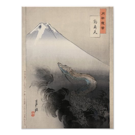 Drache steigt in den Himmel Fotodruck (Vorne)