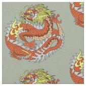 Drache Stoff (Nahaufnahme)
