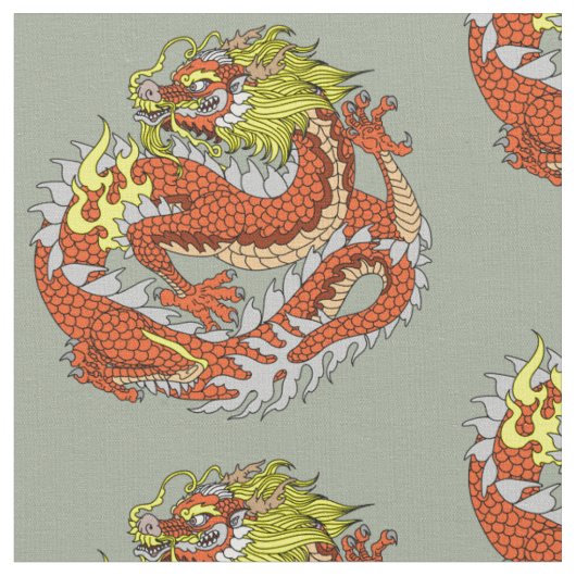 Drache Stoff (Nahaufnahme)