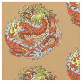 Drache Stoff (Nahaufnahme)