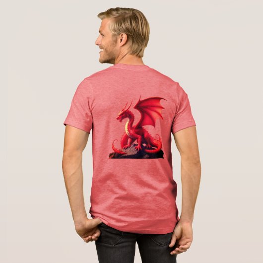 DRACHE Tri-Blend SHIRT (Rückseite voll)