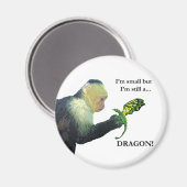 Drache und Affe Magnet (Vorderseite/Rückseite)