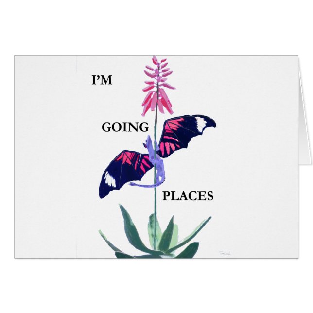 Drache und Kakteen (Vorderseite (Horizontal))