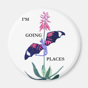 Drache und Kaktus Magnet