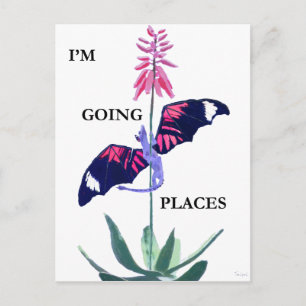 Drache und Kaktus Postkarte