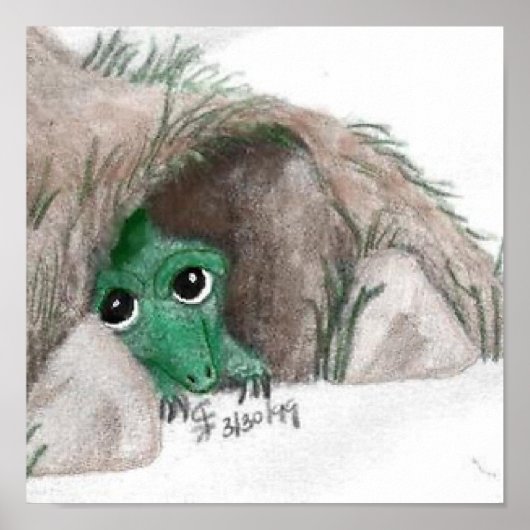 Drache verbergen poster (Vorne)