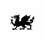 Drache-Wappenkunde-Skulptur Freistehende Fotoskulptur<br><div class="desc">Lauf weg! Lauf weg! Dieses ist eine Ausschnittskulptur,  die würde schauen groß auf den Regalen jedes möglichen Dracheliebhabers,  Schreibtisch,  Kaminsims…</div>