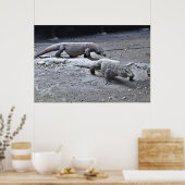 Drachen auf Patrol Poster (Küche)