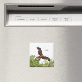 Drachen in Fliege...... Magnet (In Situ (Geschirrspüler))