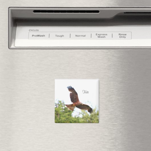 Drachen in Fliege...... Magnet (In Situ (Geschirrspüler))