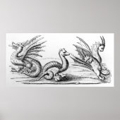 Drachen Poster (Vorne)