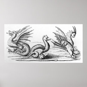 Drachen Poster