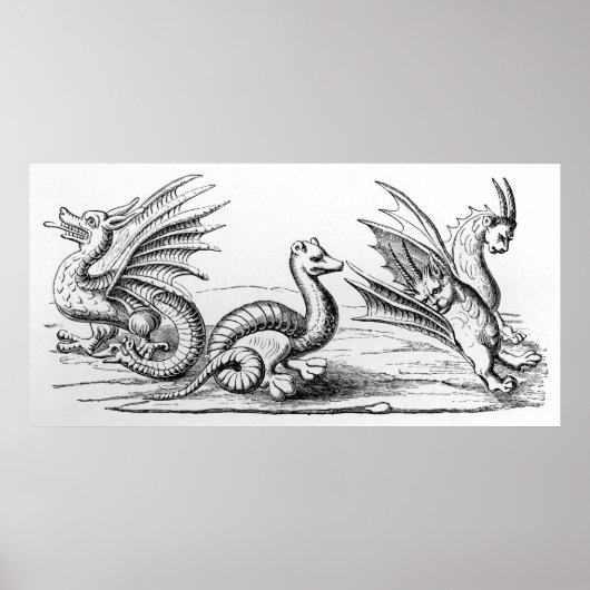 Drachen Poster (Vorne)