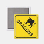 Drachen warnen Schildkrötenmagnet Magnet (Vorderseite/Rückseite)