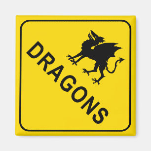 Drachen warnen Schildkrötenmagnet Magnet