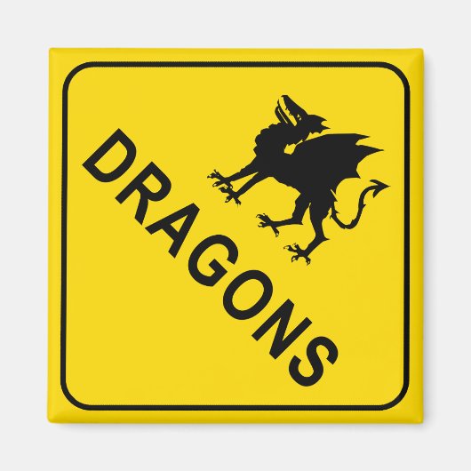 Drachen warnen Schildkrötenmagnet Magnet (Vorne)