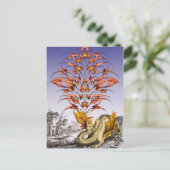 Drachenatmen Postkarte (Stehend Vorderseite)