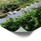 Drachenbaum auf Teneriffa Poster (Ecke)