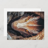 Drachenblick Postkarte (Vorne/Hinten)