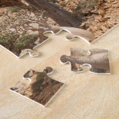 Drachenblut-Baumwald, Socotra-Insel, der Jemen Puzzle (Seite)