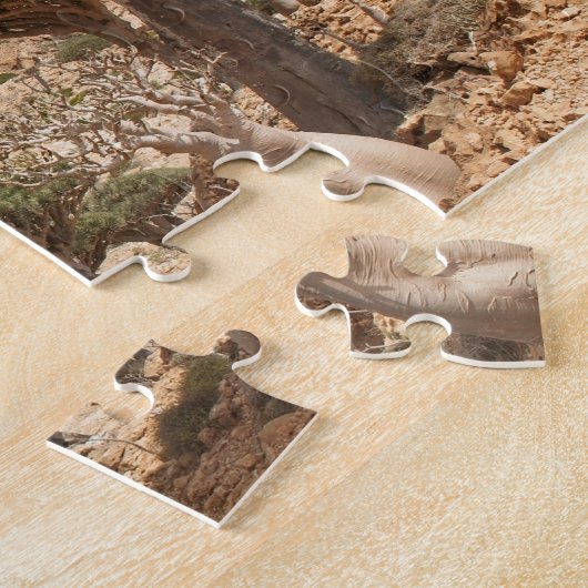 Drachenblut-Baumwald, Socotra-Insel, der Jemen Puzzle (Seite)