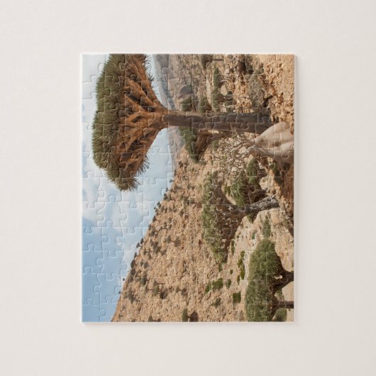 Drachenblut-Baumwald, Socotra-Insel, der Jemen Puzzle (Vertikal)