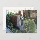 Drachenbrunnen Postkarte (Vorne/Hinten)