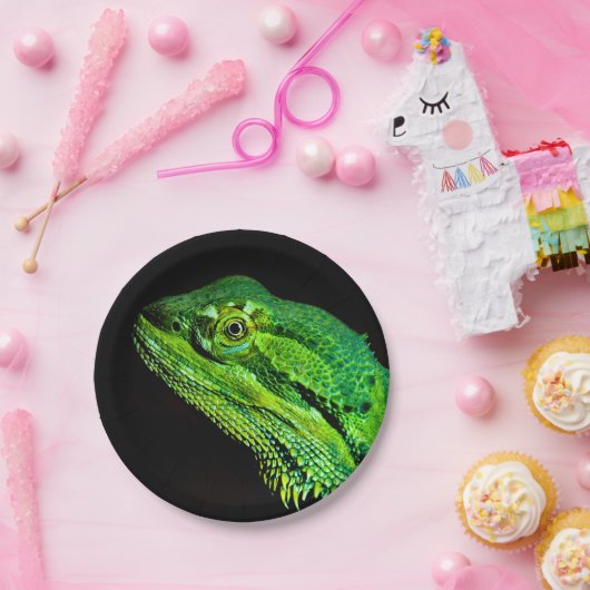 Dracheneise Pappteller (Party)