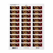 Drachenfeuer auf Glücksenergie (Vorne)