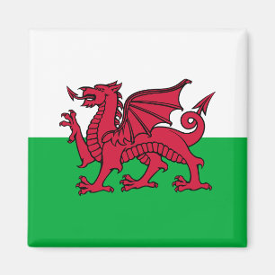 Drachenflagge Wales, keltisch-walisische Nationalf Magnet