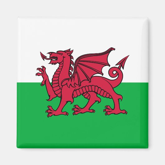 Drachenflagge Wales, keltisch-walisische Nationalf Magnet (Vorne)
