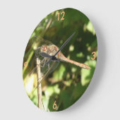 Drachenfliege auf der Uhr der Perücke (Winkel)