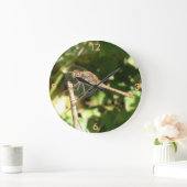 Drachenfliege auf der Uhr der Perücke (Zuhause)