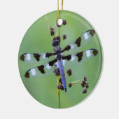 Drachenfliege auf Gras, Kanada Keramik Ornament (Links)