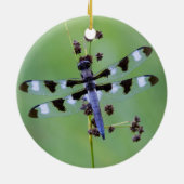 Drachenfliege auf Gras, Kanada Keramik Ornament (Hinten)