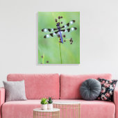 Drachenfliege auf Gras, Kanada Leinwanddruck (Insitu (Wohnzimmer))