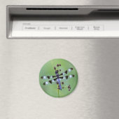 Drachenfliege auf Gras, Kanada Magnet (In Situ (Geschirrspüler))
