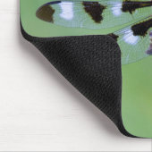 Drachenfliege auf Gras, Kanada Mousepad (Ecke)