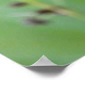 Drachenfliege auf Gras, Kanada Poster (Ecke)