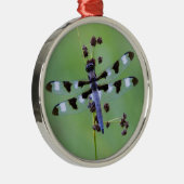 Drachenfliege auf Gras, Kanada Silbernes Ornament (Rechts)