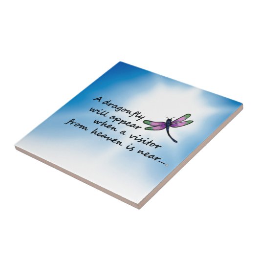 Drachenfliege, Besucher aus dem Himmel Fliese (Seite)