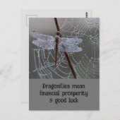 Drachenfliege-Karte Postkarte (Vorne/Hinten)
